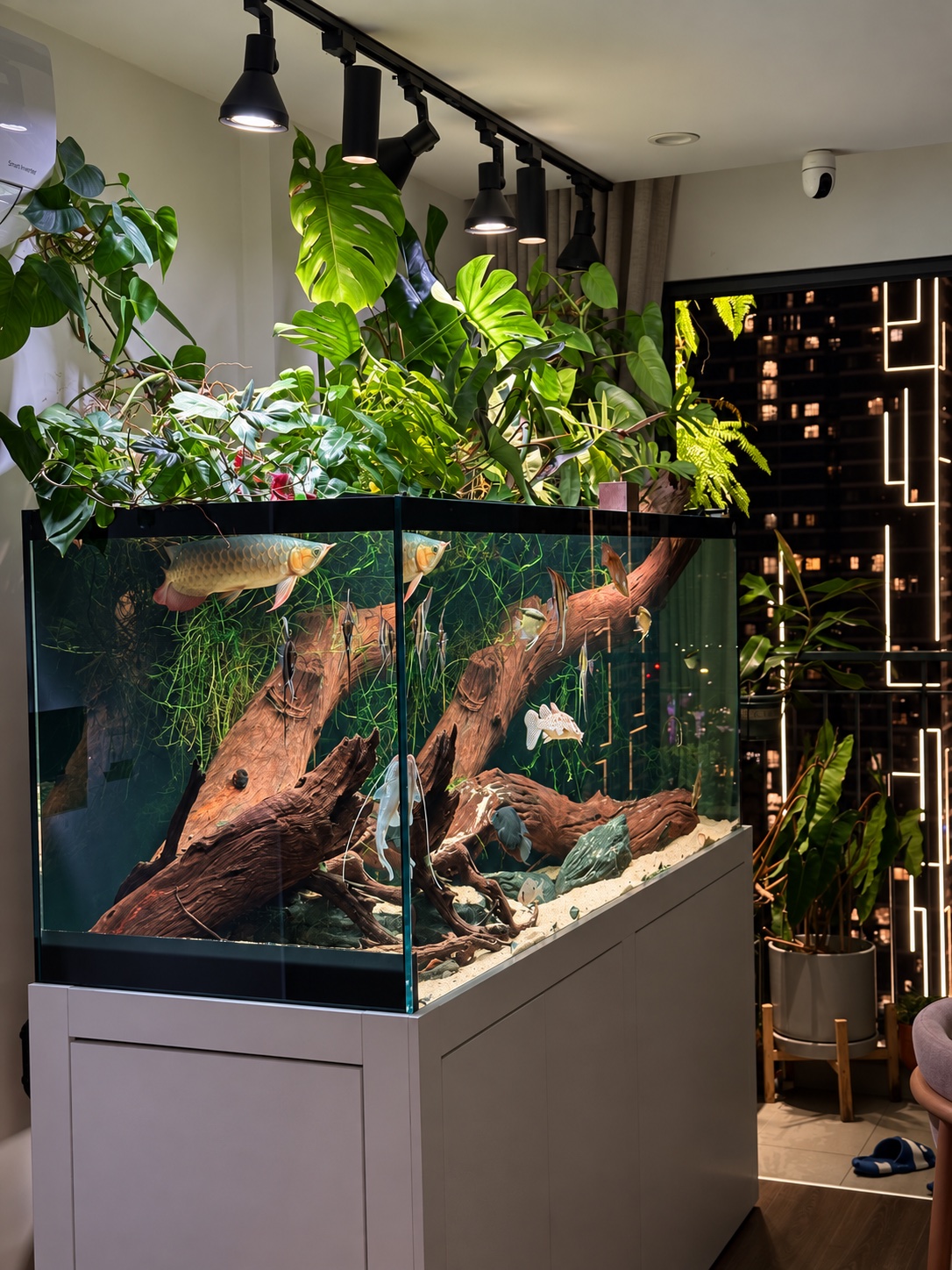 An angled view of The Leap with roots, driftwood and fish